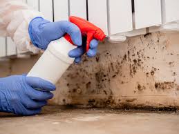 Best Emergency Mold Remediation  in Brookmont, MD